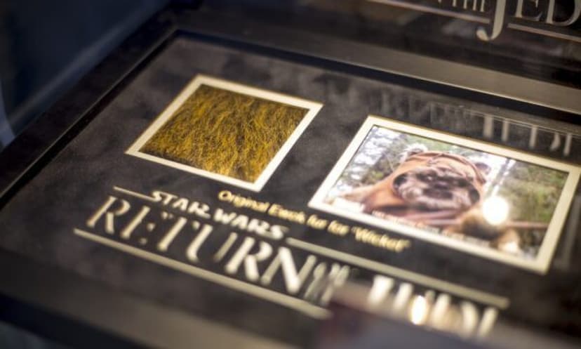 Poznaj Świat Filmu dla Rodziny | Wrocław