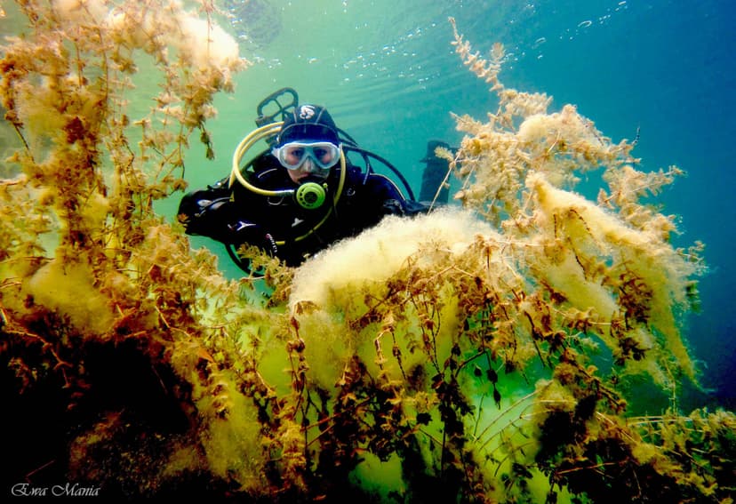 Nurkowanie w Podwodnej Jaskini dla Dwojga | Inowrocław (okolice)