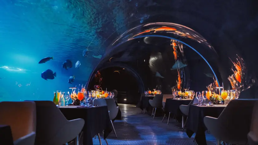 Podwodna Kolacja | Wrocław