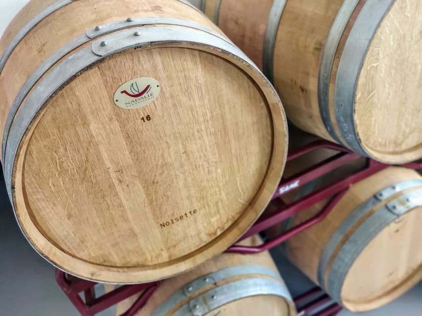 Zwiedzanie Winnicy z Degustacją | Wrocław (okolice)