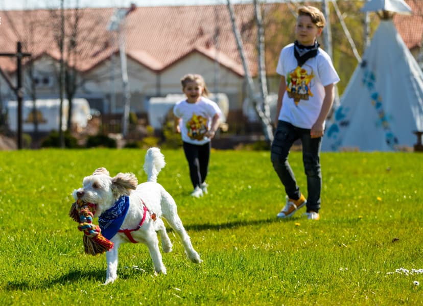 Noc w Wozie Kowbojskim na "Dzikim Zachodzie" dla Rodziny | Zator
