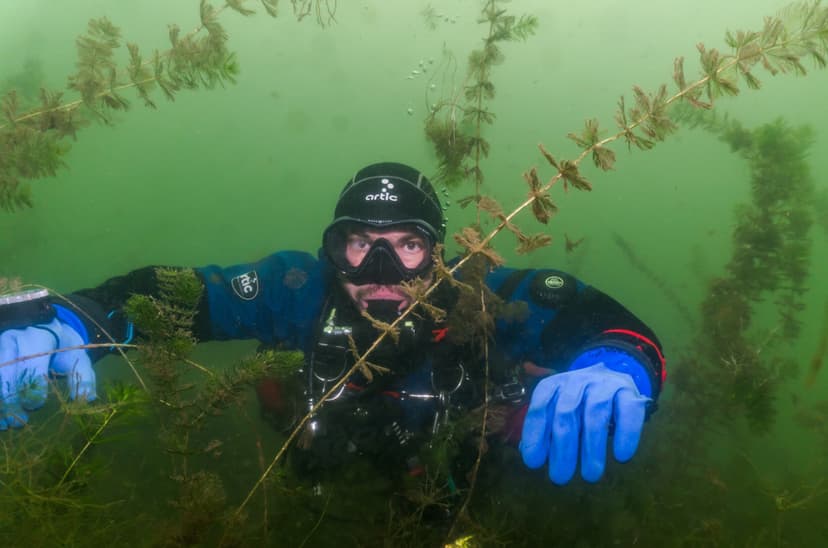 Nurkowanie w Jeziorze | Powidz (okolice)