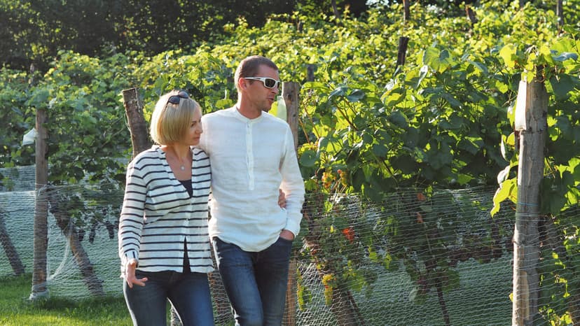 Zwiedzanie Winnicy z Degustacją dla Przyjaciół | Katowice (okolice)