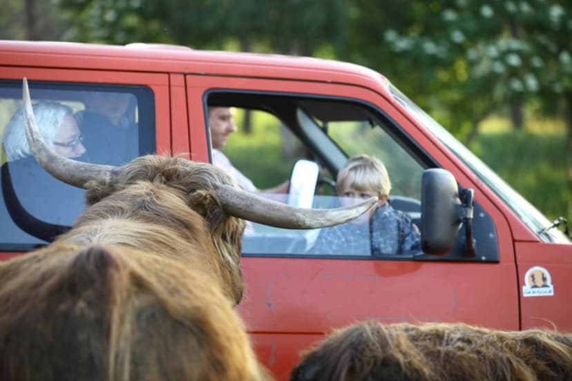 Samochodowe Safari dla Dwojga | Wydminy