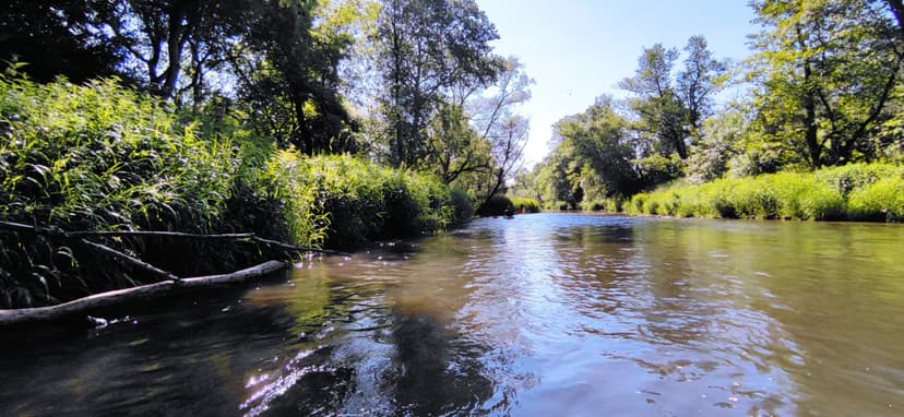 Spływ Kajakowy dla Przyjaciół | Ostrowiec Świętokrzyski