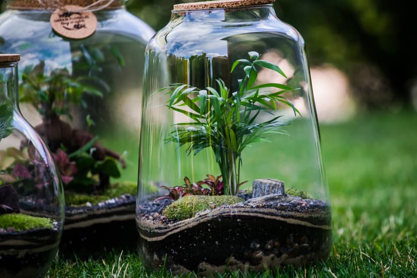 Warsztaty z Tworzenia Lasu w Szkle dla Przyjaciół | Bydgoszcz (okolice)