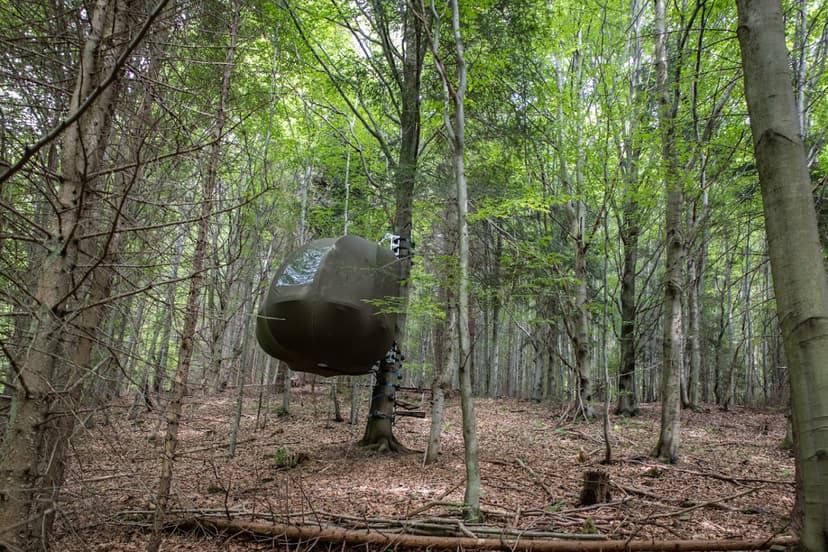 Urokliwy Pobyt w Namiocie na Drzewie (2 Noce, 2 Osoby) | Wisilas Nad Sercowym Potokiem | Rabka-Zdrój