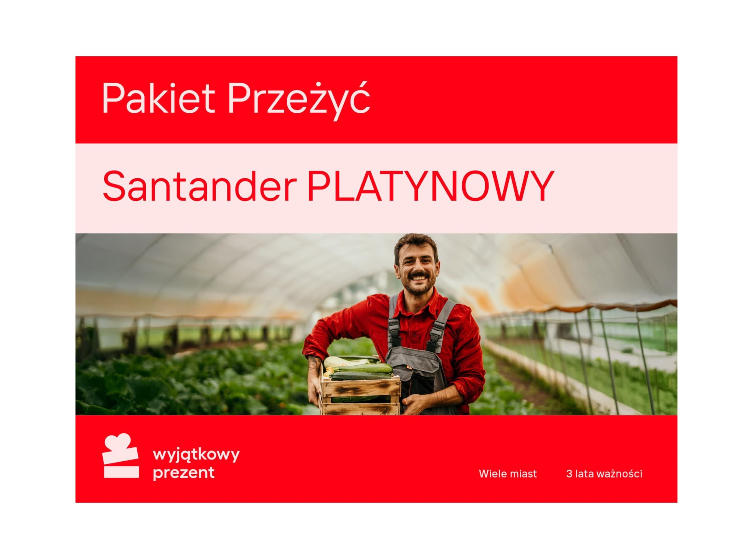 Santander Pakiet PLATYNOWY | 850,00 zł z Twoim kodem rabatowym