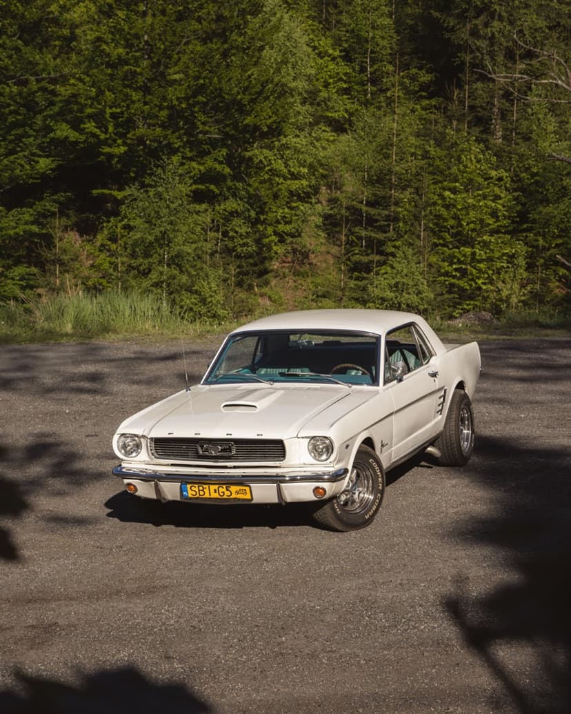 Co-Drive Mustangiem 1966 (30 minut) | Bielsko-Biała