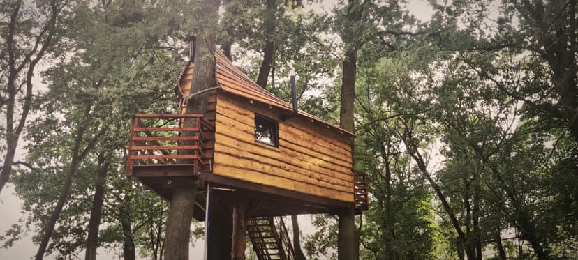 Pobyt w Domku na Drzewie w Tygodniu (1 Noc, 2 Osoby) | TreeVill | Golędzinów