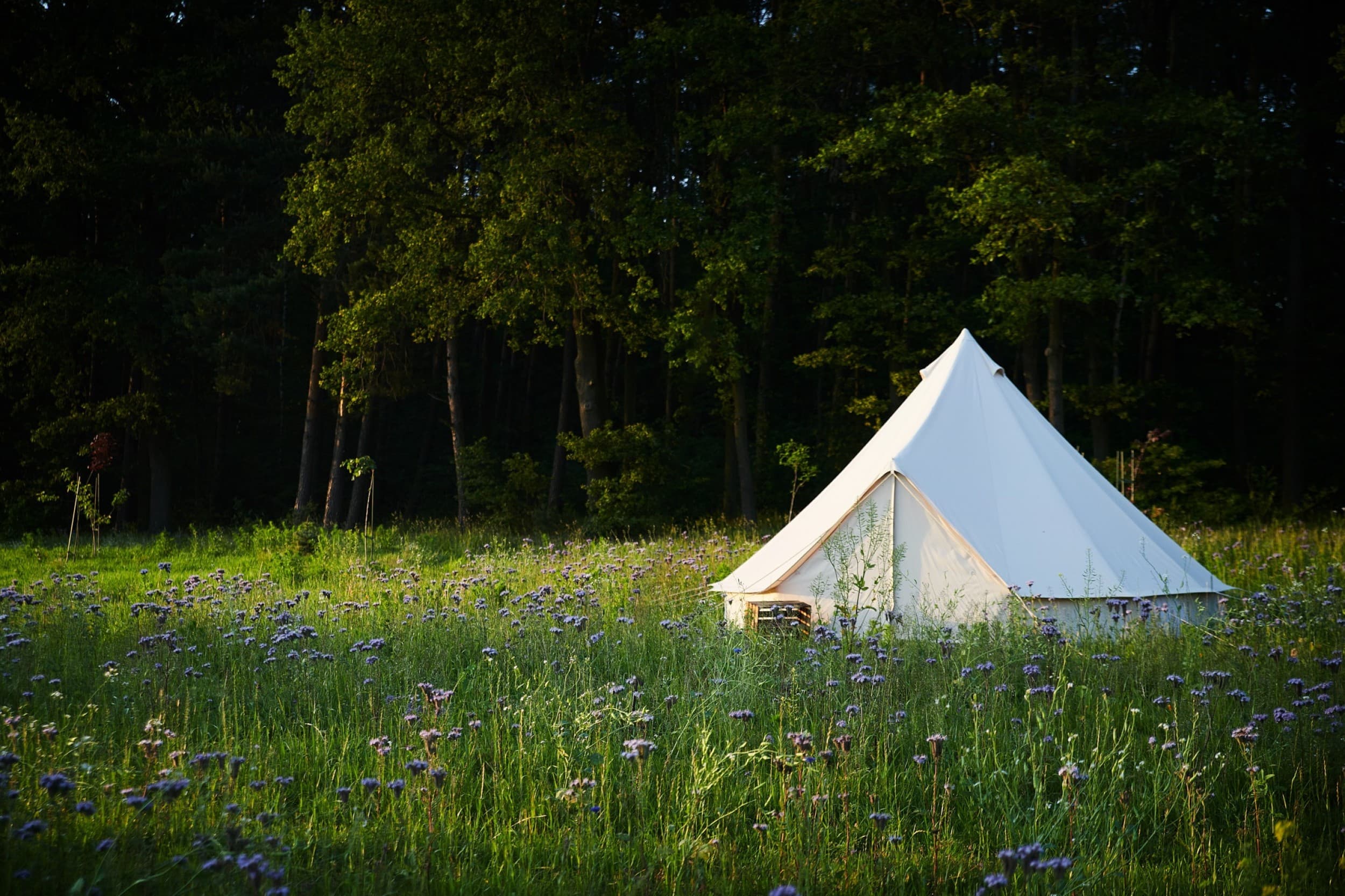 Pobyt w Namiocie w Tygodniu (2 Noce, 2 Osoby) | bosco glamping | Modrzewek