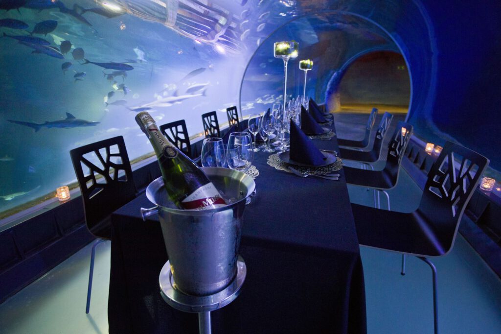 Podwodna kolacja, widok przystrojonego stołu w tunelu podwodnym