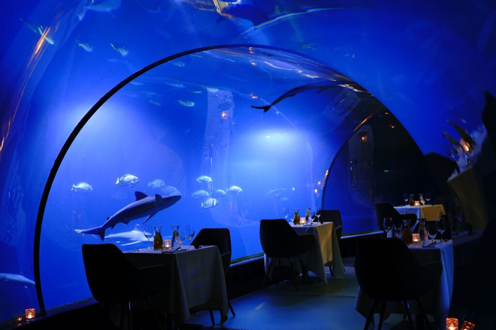 Ciekawe restauracje w Polsce - tunel z wodą, w którym pływają rekiny i ryby, po środku nakryte stoły